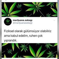 Berrak Soyanlı (@bsoyanl) Twitter profile photo