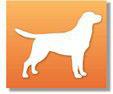 We are an internet-based community of pet lovers who find and return pets safely home.