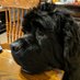 AnnVt @2newfies.bsky.social (@2newfs) Twitter profile photo AnnVt @2newfies.bsky.social (@2newfs) Twitter profile photo
