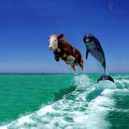 diehldave's profile picture. I coach U.S. History now.