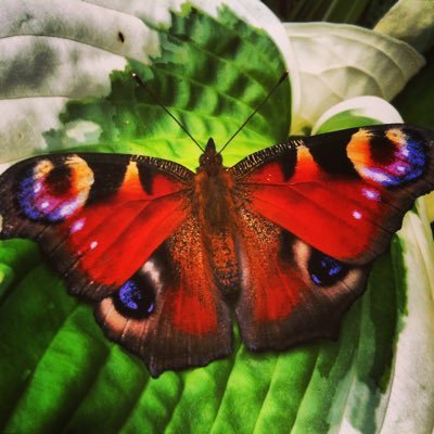 JaankaS's profile picture. Najtrudniejsze - Jezu ufam Tobie.