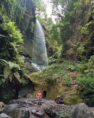 vircheva's profile picture. 