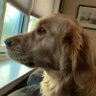 diwanksingh's profile picture. GPT whisperer. Serial dropout. Thiel fellow. Building AI agents @julep_ai. Dog father.