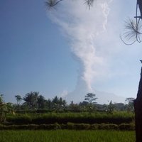 Tapal kuda new (@gezomado) 's Twitter Profile