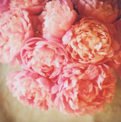 livingunn's profile picture. Graphic designer at Kreatoriet as