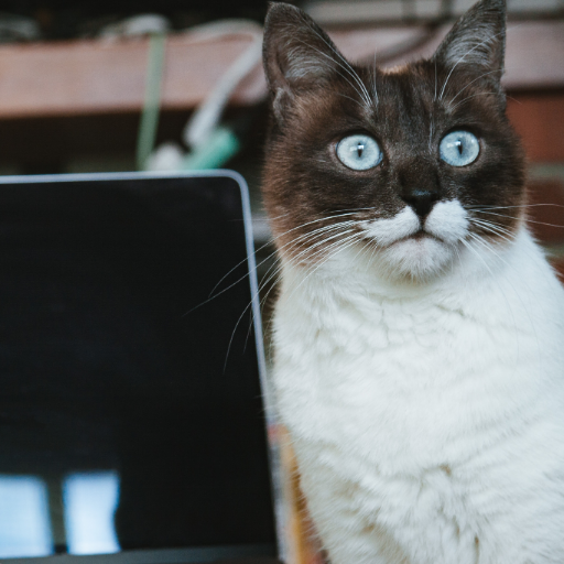 すぐにフォロワー激増できますよ 相互フォローを希望するユーザーを支援するアカウントです 当アカウントをフォロー⇒当アカウントのツイートをリツイート⇒当アカウントのフォロアーをフォローすることによって、あなたのフォロアーを増やせます #相互フォロー支援