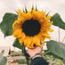 GH (@gh92946275) Twitter profile photo GH (@gh92946275) Twitter profile photo