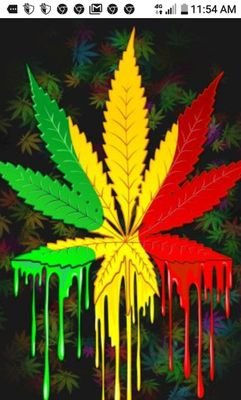 420 friendly page🌲💨
BUD GALLERY
PRODUCT REVIEWS
NOT A PLUG
IMAGES NOT OWNED
ENJOY💨🔥 STAY HIGH💨🔥