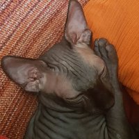 Moter@s Viajer@s 🐈⬛ (@moterosviajeros) 's Twitter Profile Photo Moter@s Viajer@s 🐈⬛ (@moterosviajeros) 's Twitter Profile Photo