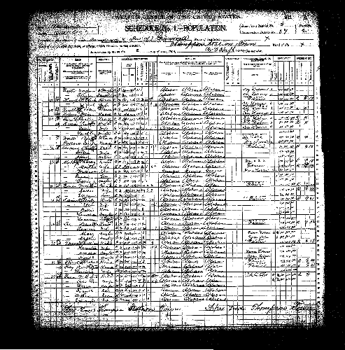 genealogycoop's profile picture. Free & low cost resources for researching your family's genealogy