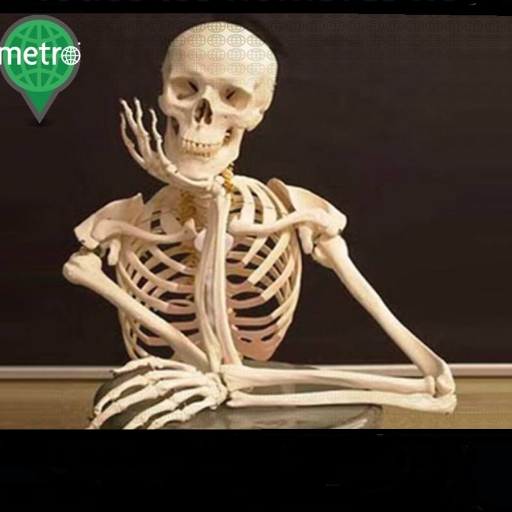 Francis42687829's profile picture. Me molesta la injusticia...