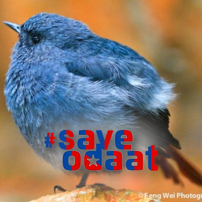 sharinlilbit's profile picture. 