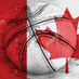 𝙒𝙞𝙩𝙩 🏀🍁 (@wittersr) Twitter profile photo 𝙒𝙞𝙩𝙩 🏀🍁 (@wittersr) Twitter profile photo