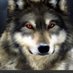 Serkan (@mehmet_1734) Twitter profile photo Serkan (@mehmet_1734) Twitter profile photo