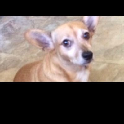 IM20187's profile picture. Just a person that likes games