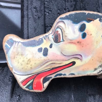 murray_scoter's profile picture. I was a teenage haruspex. I need one more scoter for the set.