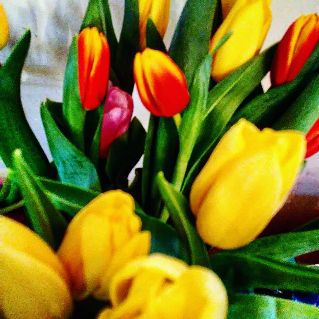 aishalton's profile picture. 