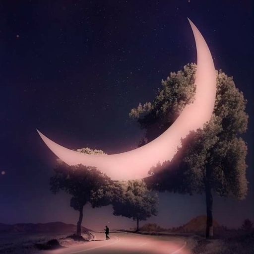 zero_wilson's profile picture. 