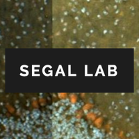 SegalLab(@lab_segal) 's Twitter Profile Photo