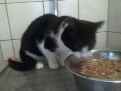 Journalistcirc1's profile picture. dænkere tænker klug .-