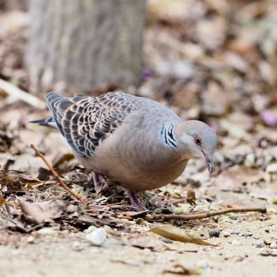 エンプティインジェクション 無駄がなけりゃ意味がなーい