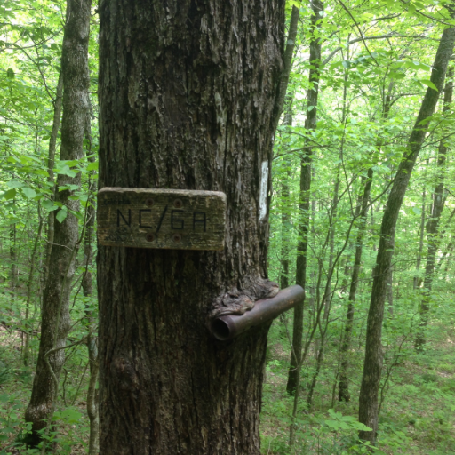 greenway20's profile picture. 