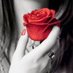 Reham🫶 (@r1r200) Twitter profile photo Reham🫶 (@r1r200) Twitter profile photo