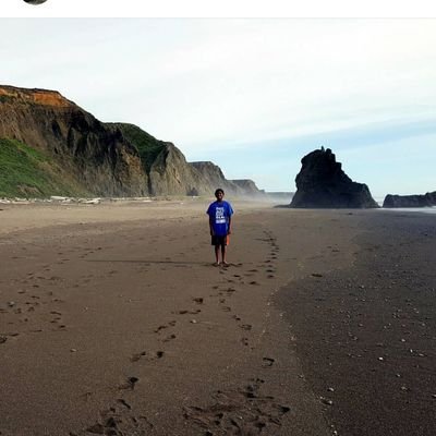 RohanDkn's profile picture. tesla ai