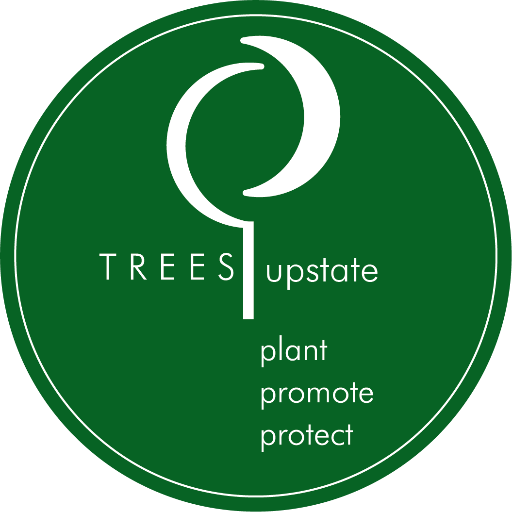 TreesUpstate is a countywide 501 c3. Our mission is to plant, promote, and protect trees in and around Greenville County.