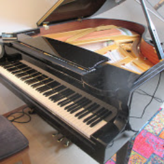 #AllMenAreCreatedEqual Pianist Jazz Pop-Rechtskonservativ Bürgerlich Satire-Kanal! Keine Verantwortung über verbundene Kanäle. Retweet nicht gleich Zustimmung.
