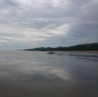 ocol_13's profile picture. 