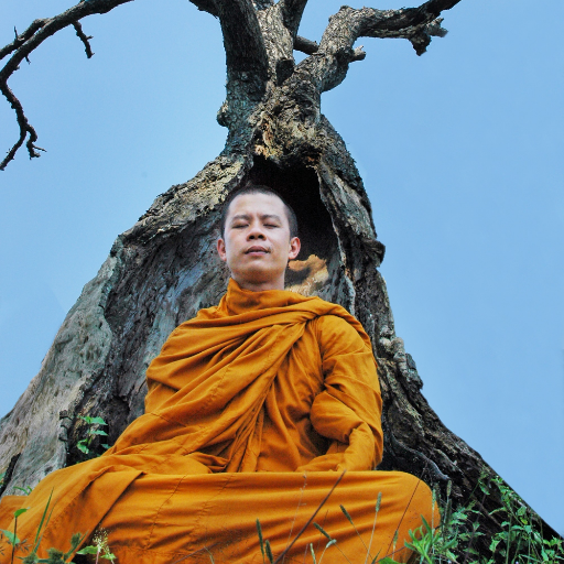 Theravàda Buddhist monk. Abbot of Dinh Quang temple