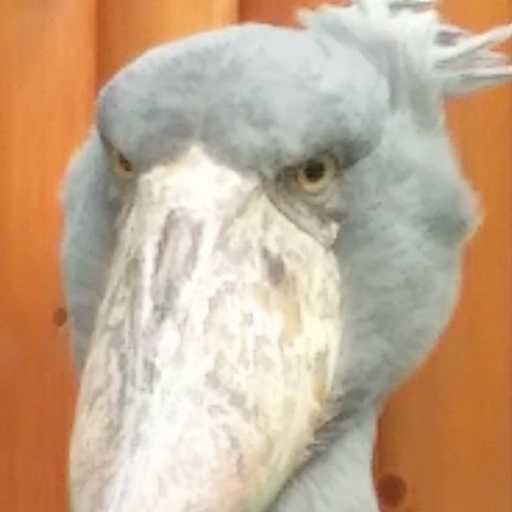 けんすさんのプロフィール画像