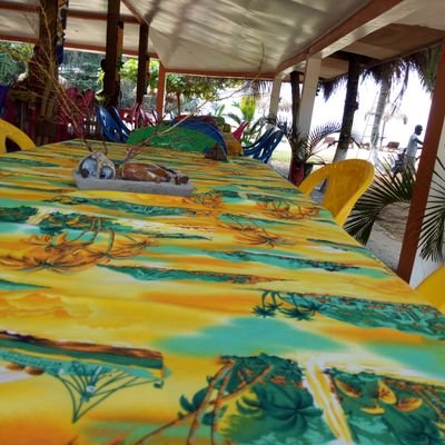 PBedoung's profile picture. Toujours zen