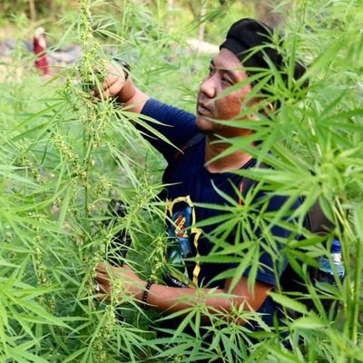Seorang warga negara merdeka yang di rampas hak ganja nya
₄.₂₀ 🍁