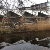 Initiative_Nutheschlange_Potsdam (@nutheschlangen) 's Twitter Profile