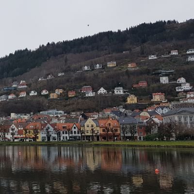 dennispalmer198's profile picture. straight