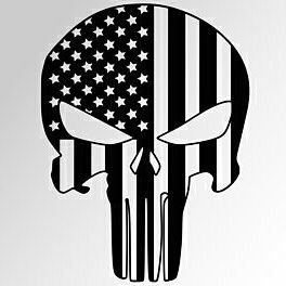 CJNThePunisher Profile Picture