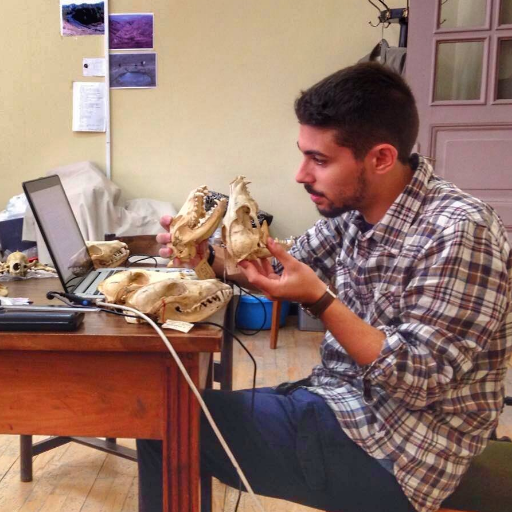 Ph.D. in Vertebrate Paleontology @UNI_FIRENZE, @paleofablab ||
#carnivorans #evolution #paleobiology #virtualpaleontology 🐺🦊🦡 ||
