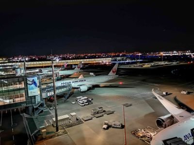 美味しい機内食をひたすら追い求める
I try to finding delicious airline meal.