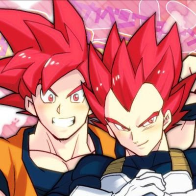 西2ト77aカカベジプチ最高のフュージョン２さんのプロフィール画像