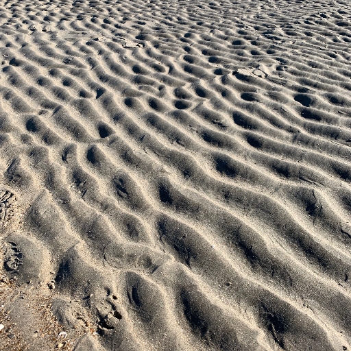 MichaelWaeles's profile picture. 