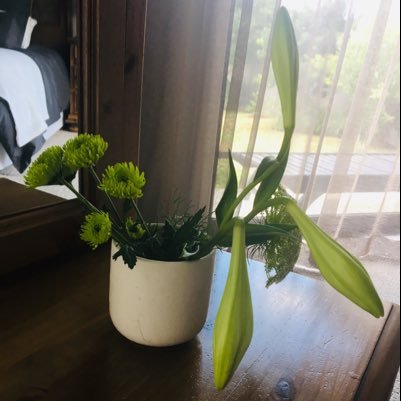 _childfamily's profile picture. lecturer