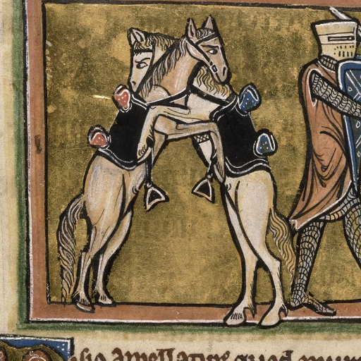 Medieval Warhorse