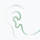 Salzburg Brain Dynamics Lab (@salzburgl) 's Twitter Profile