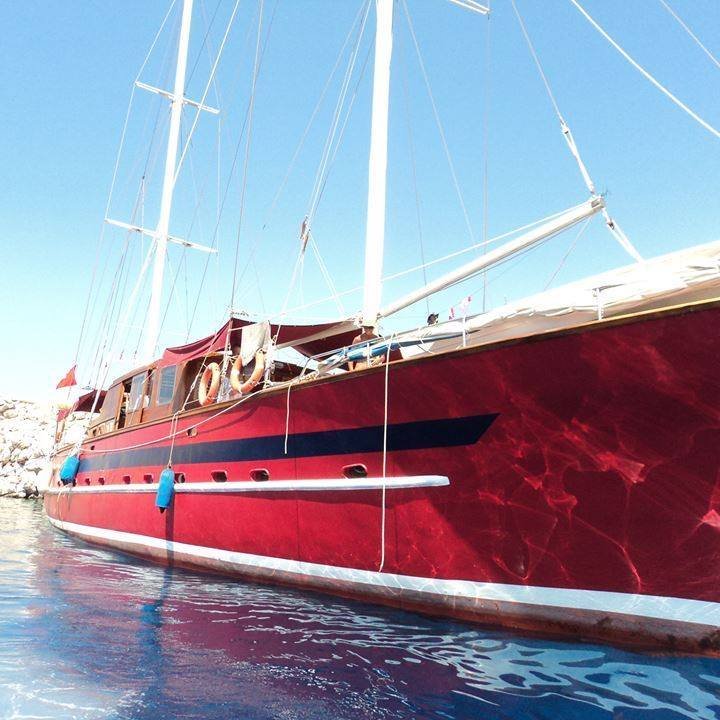 🛥️ Blue Cruise Between Turkey 🇹🇷 and Greece 🇬🇷
Board our yacht and experience the Aegean Sea like never before.
⬇️ BOOK TODAY
https://t.co/vvEFtTaL7D