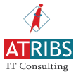 Atribs objective is to Provide technology, human resource and quality solution to medium and large enterprises.