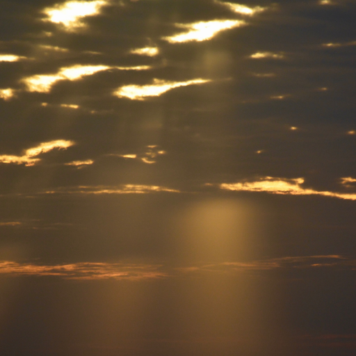 cow_zen's profile picture. there is enough for everyone