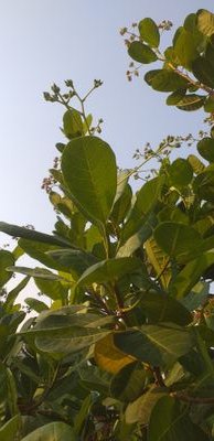 aNSL18dJ8SpDsUA's profile picture. ชอบมาก