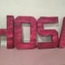 HHS_HOSA (@bluestreakhosa) Twitter profile photo HHS_HOSA (@bluestreakhosa) Twitter profile photo